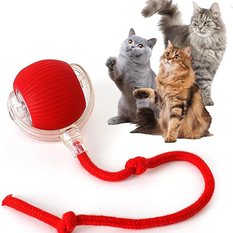 Auto Rolling Interactive Cat Ball image 15