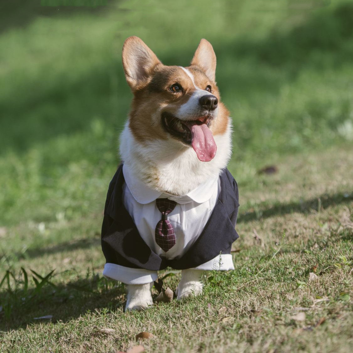 Pet Suit Dog Dress Tuxedo image 1