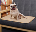 Dog Urine Pad Absorbent Pad Diaper image 11