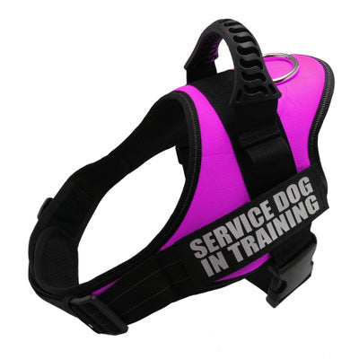 Personalized Reflective Dog Harness image 2