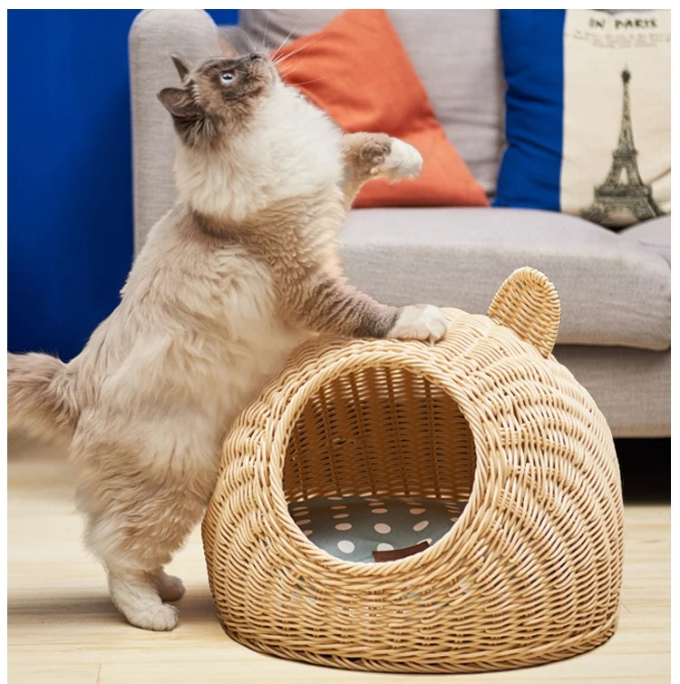 Cat nest rattan woven for all seasons, removable and washable image 3