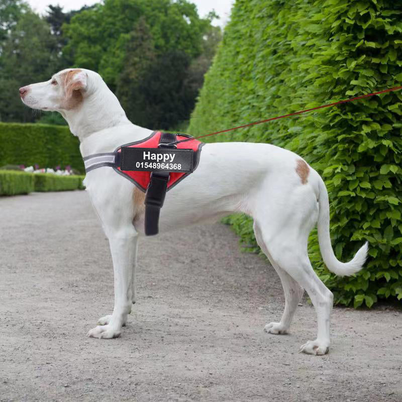 Personalized Reflective Dog Harness image 1