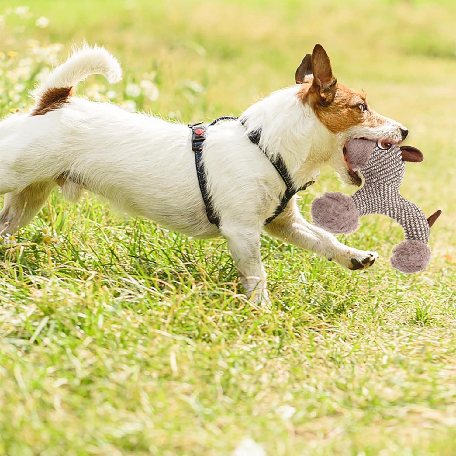 Large Dog Squeaky Toys Stuffed Animal Dog Plush Toy Dog Interactive Toy - Plush Dogs Chew Toy Stimulating Squeaky Pet Toys For Medium Large Dogs Puppy image 2