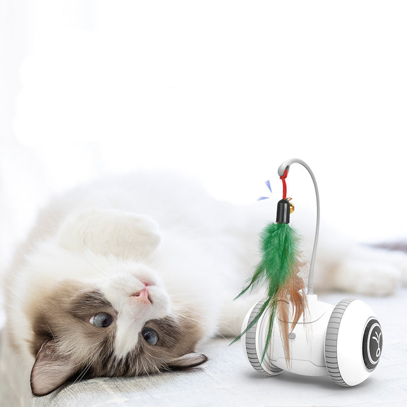 Interactive Cat Toy With Interchangeable Heads  Pet Feather Toys image 2