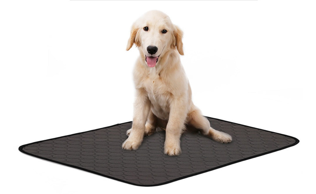 Dog Urine Pad Absorbent Pad Diaper image 12