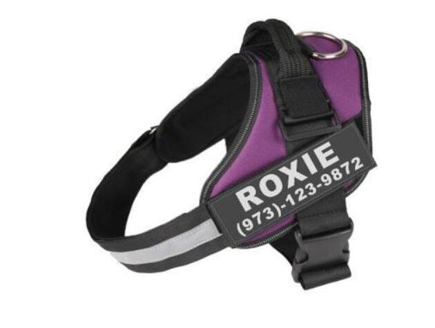 Personalized Reflective Dog Harness image 16