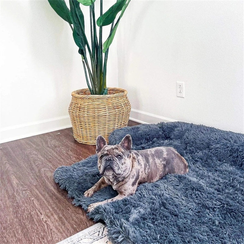 Dog Bed image 3