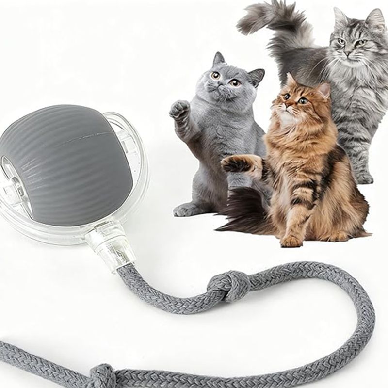 Auto Rolling Interactive Cat Ball image 12