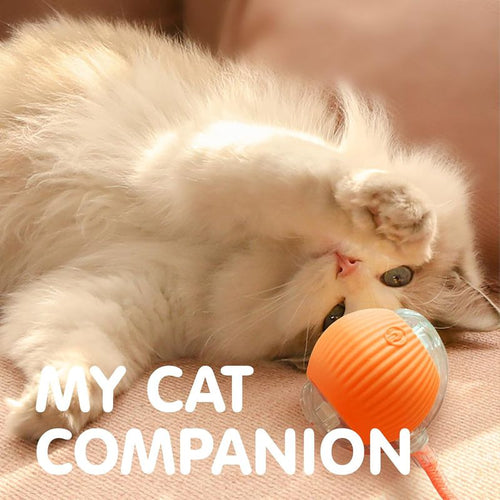 Auto Rolling Interactive Cat Ball image 2