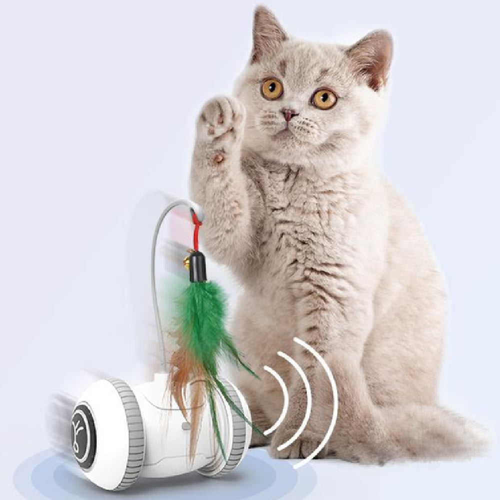 Interactive Cat Toy With Interchangeable Heads  Pet Feather Toys image 1